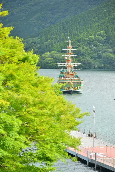 DSC_3673 (Large).JPG